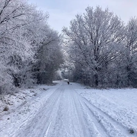 شقة Urlaub Am Rande Des Vogelsbergs Laubach (Giessen)
