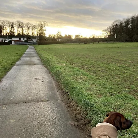 Urlaub Am Rande Des Vogelsbergs شقة Laubach (Giessen)