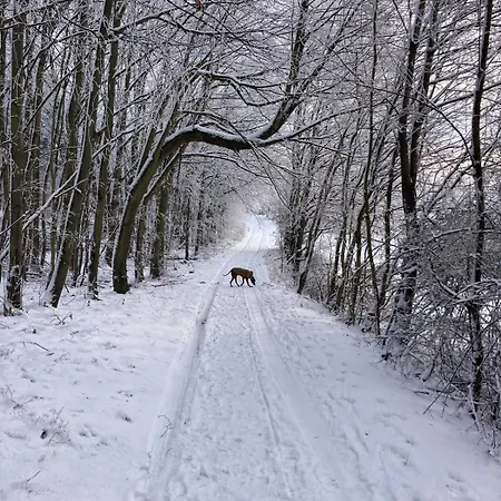 شقة Urlaub Am Rande Des Vogelsbergs Laubach (Giessen)