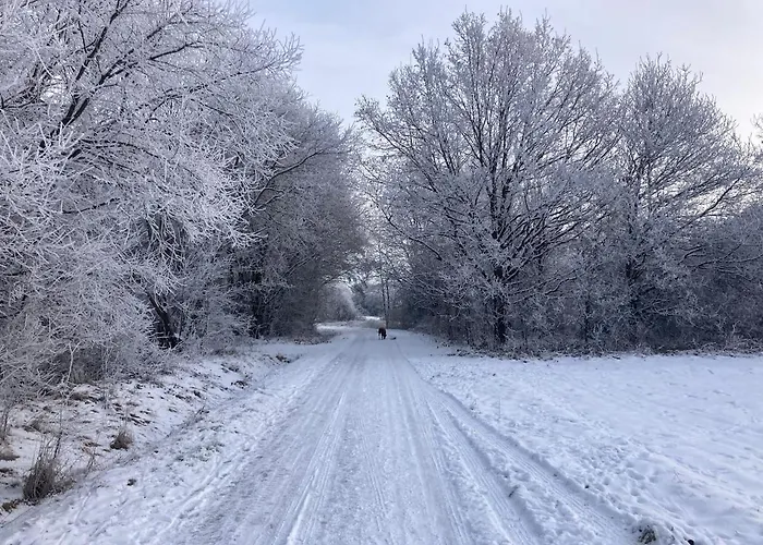 Апартаменты Urlaub Am Rande Des Vogelsbergs Лаубах