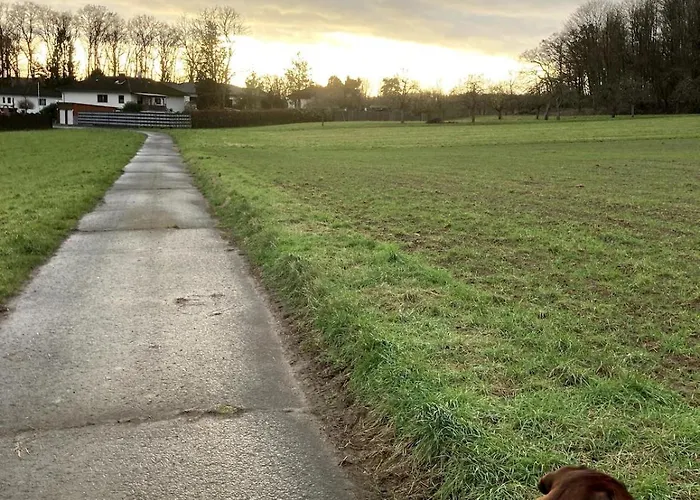 Urlaub Am Rande Des Vogelsbergs Апартаменты Лаубах
